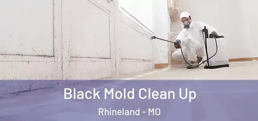 Black Mold Clean Up Rhineland - MO