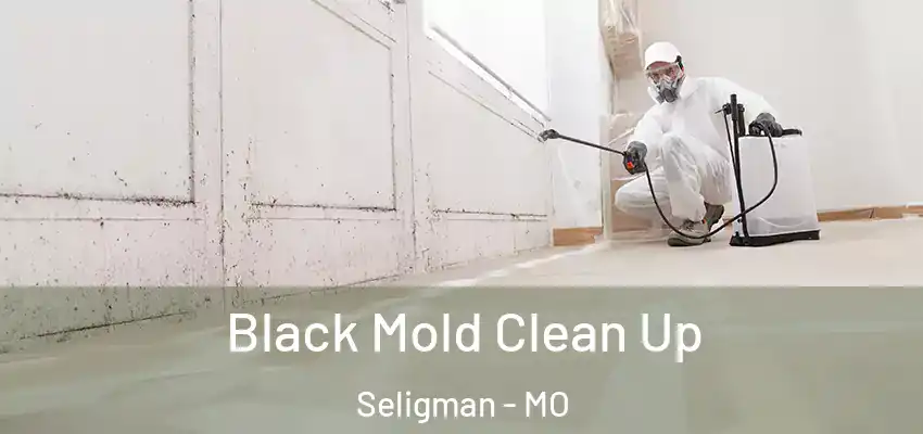  Black Mold Clean Up Seligman - MO