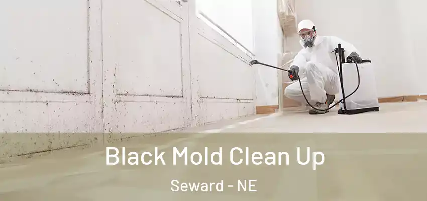  Black Mold Clean Up Seward - NE
