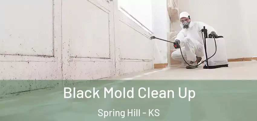  Black Mold Clean Up Spring Hill - KS