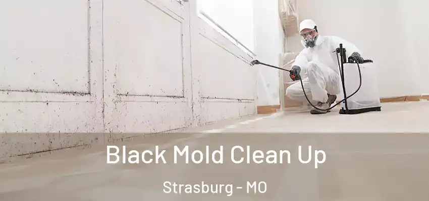  Black Mold Clean Up Strasburg - MO