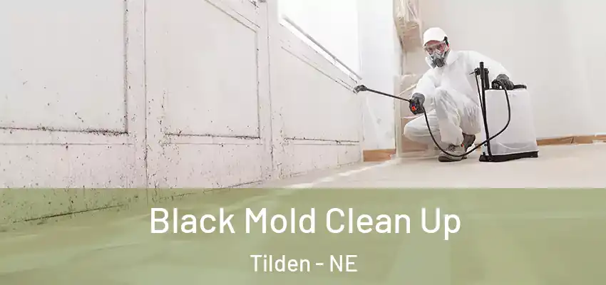  Black Mold Clean Up Tilden - NE