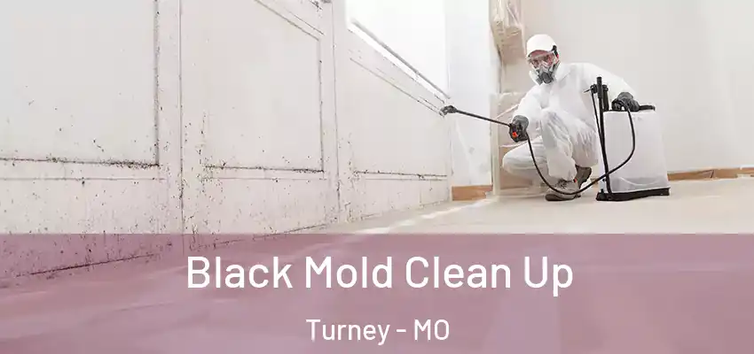  Black Mold Clean Up Turney - MO