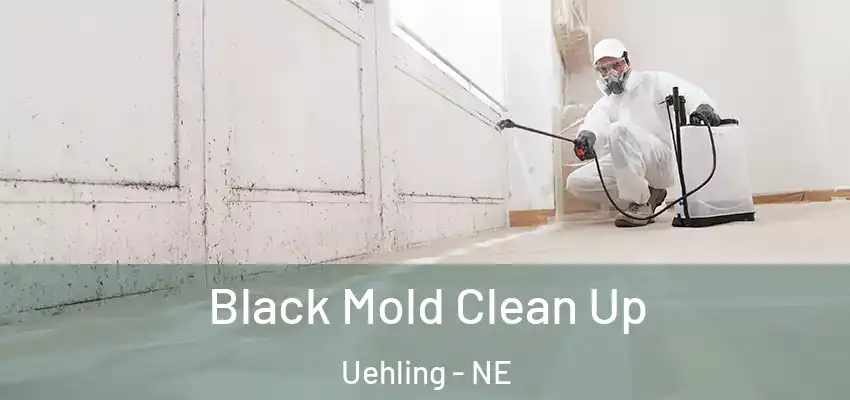  Black Mold Clean Up Uehling - NE