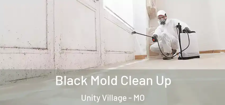  Black Mold Clean Up Unity Village - MO