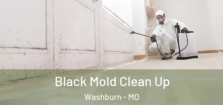  Black Mold Clean Up Washburn - MO