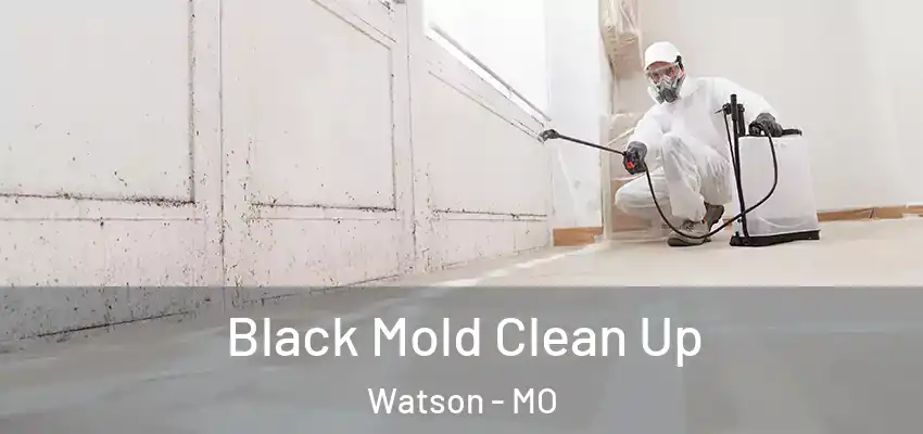  Black Mold Clean Up Watson - MO