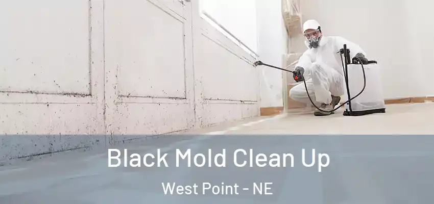  Black Mold Clean Up West Point - NE