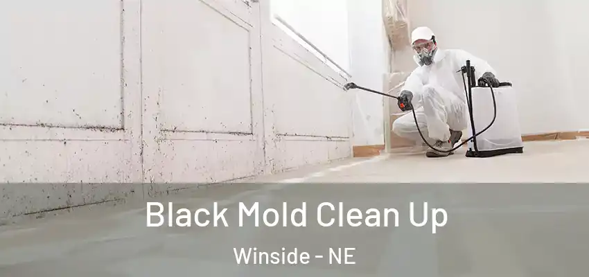 Black Mold Clean Up Winside - NE