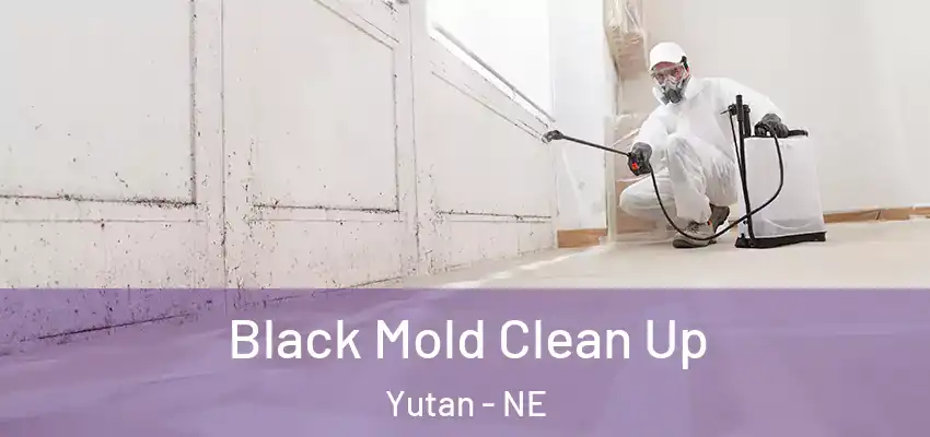  Black Mold Clean Up Yutan - NE