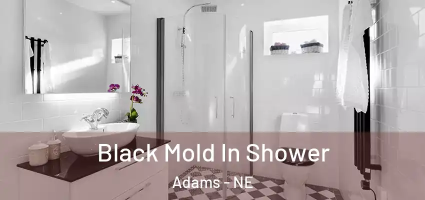  Black Mold In Shower Adams - NE