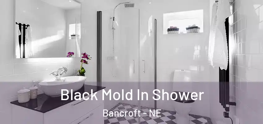 Black Mold In Shower Bancroft - NE