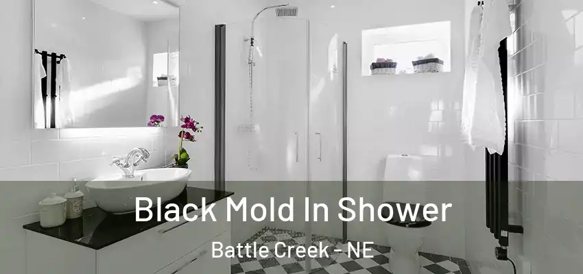  Black Mold In Shower Battle Creek - NE