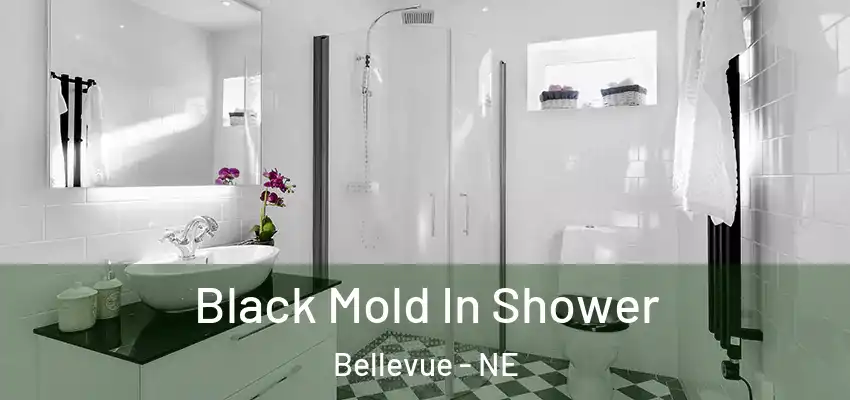  Black Mold In Shower Bellevue - NE