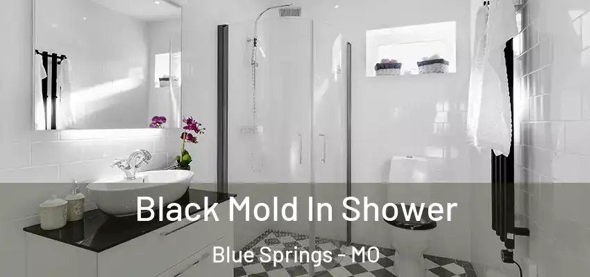  Black Mold In Shower Blue Springs - MO