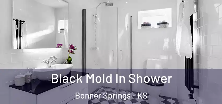  Black Mold In Shower Bonner Springs - KS