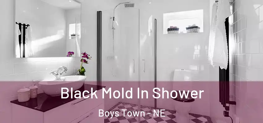  Black Mold In Shower Boys Town - NE