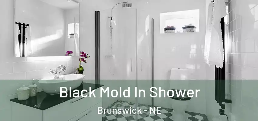  Black Mold In Shower Brunswick - NE
