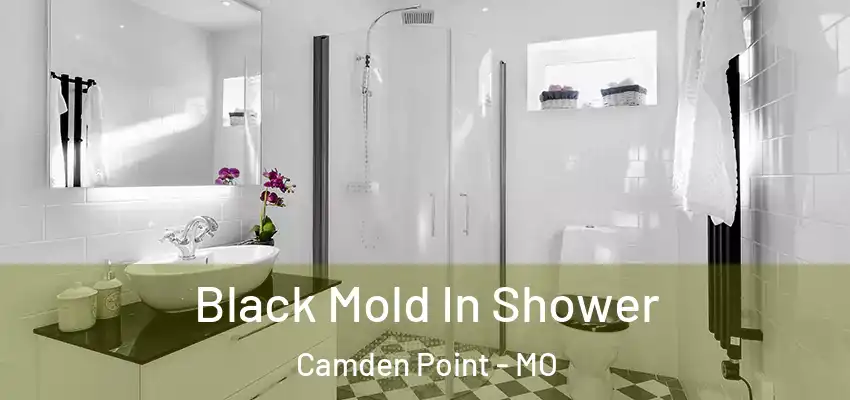 Black Mold In Shower Camden Point - MO