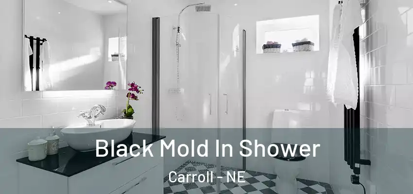  Black Mold In Shower Carroll - NE