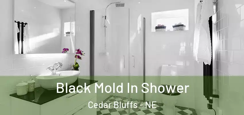  Black Mold In Shower Cedar Bluffs - NE