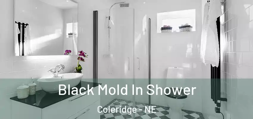  Black Mold In Shower Coleridge - NE