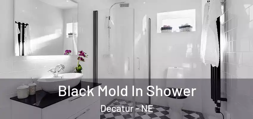 Black Mold In Shower Decatur - NE