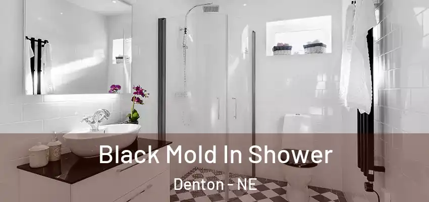  Black Mold In Shower Denton - NE