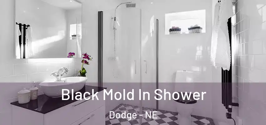  Black Mold In Shower Dodge - NE
