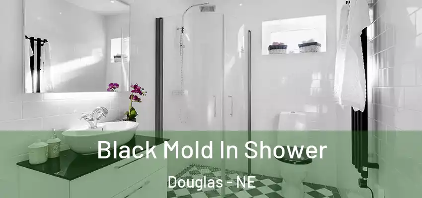 Black Mold In Shower Douglas - NE