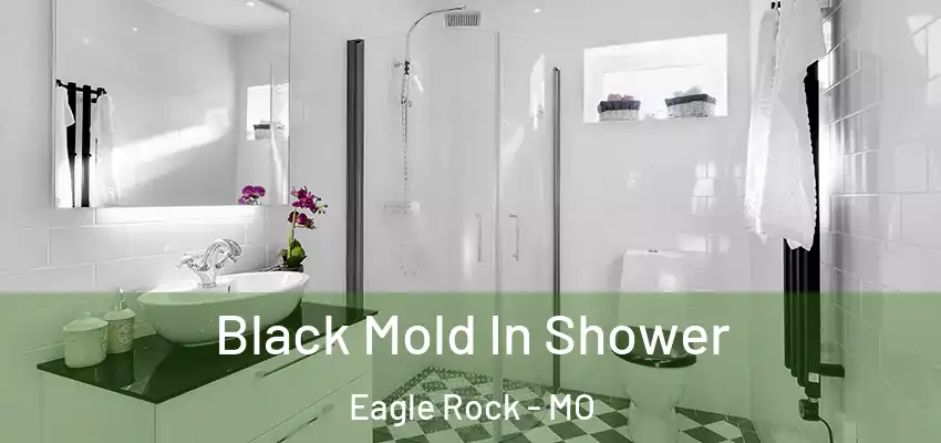 Black Mold In Shower Eagle Rock - MO