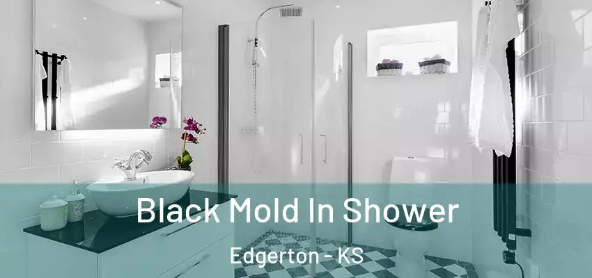  Black Mold In Shower Edgerton - KS
