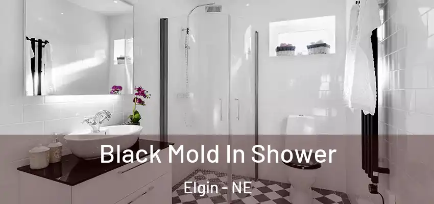  Black Mold In Shower Elgin - NE