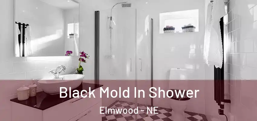Black Mold In Shower Elmwood - NE