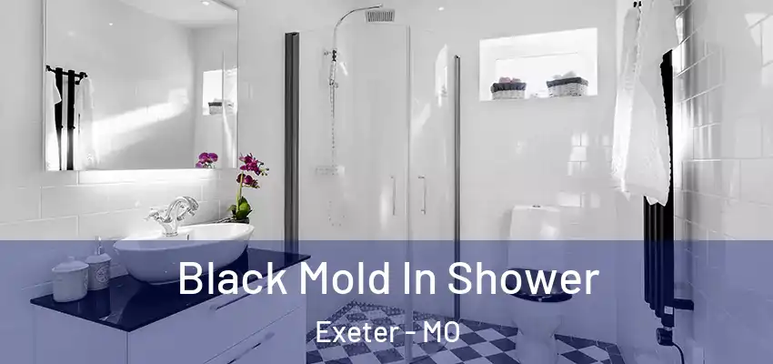  Black Mold In Shower Exeter - MO