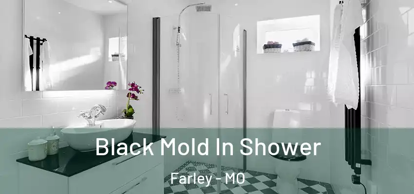  Black Mold In Shower Farley - MO