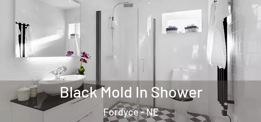  Black Mold In Shower Fordyce - NE