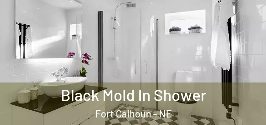  Black Mold In Shower Fort Calhoun - NE