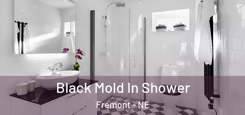 Black Mold In Shower Fremont - NE