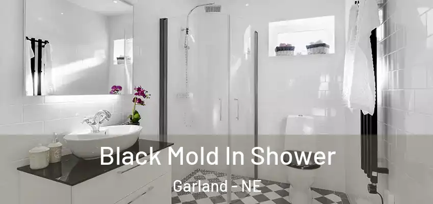  Black Mold In Shower Garland - NE