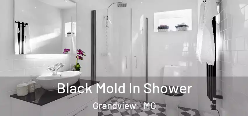  Black Mold In Shower Grandview - MO