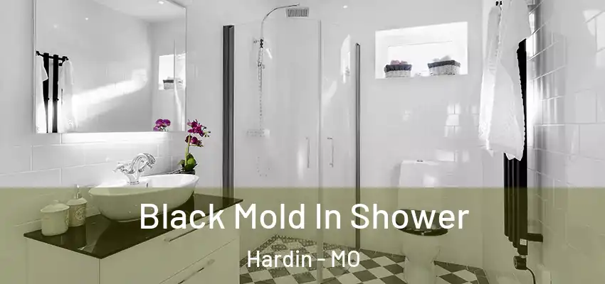  Black Mold In Shower Hardin - MO