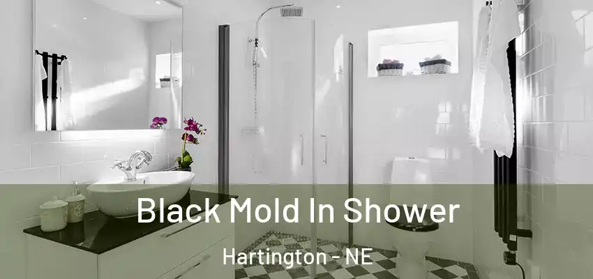 Black Mold In Shower Hartington - NE
