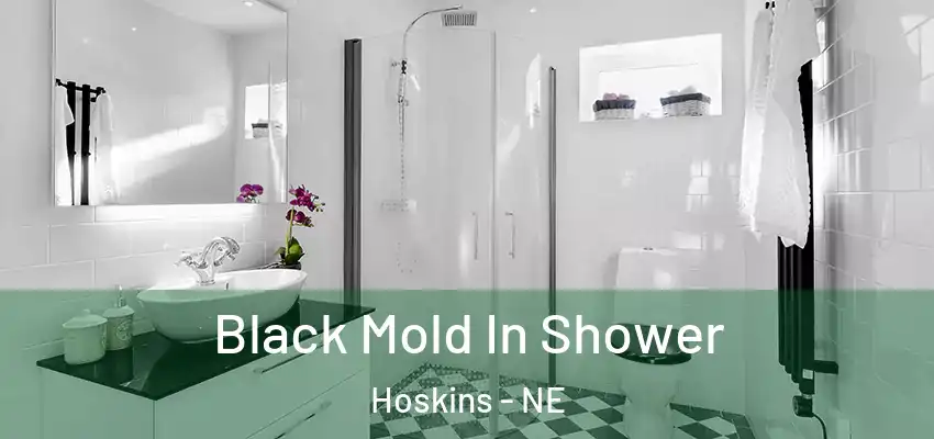  Black Mold In Shower Hoskins - NE