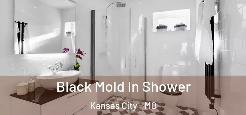 Black Mold In Shower Kansas City - MO