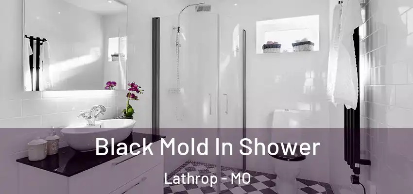  Black Mold In Shower Lathrop - MO