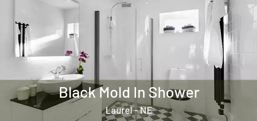  Black Mold In Shower Laurel - NE