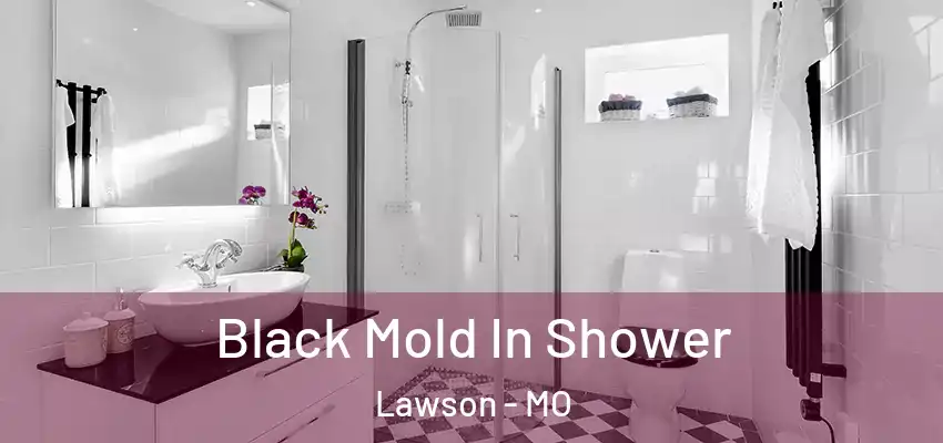  Black Mold In Shower Lawson - MO