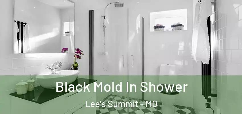  Black Mold In Shower Lee's Summit - MO