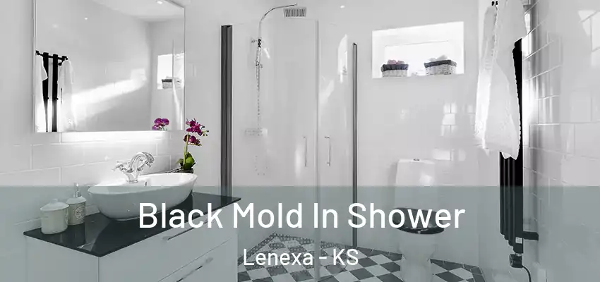 Black Mold In Shower Lenexa - KS
